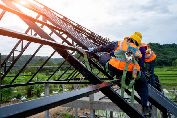 Best Roof Restoration Services  in Pahoa, HI