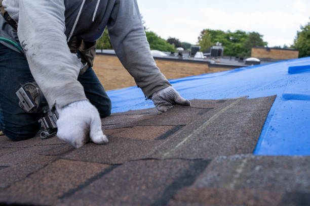 Quick and Trustworthy Emergency Roof Repair Services in Pahoa, HI