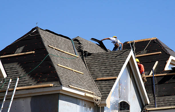 Best Roof Maintenance Services  in Pahoa, HI