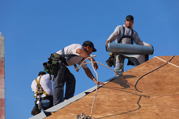 Best Residential Roof Replacement  in Pahoa, HI