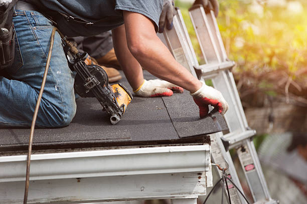 Best Commercial Roofing Services  in Pahoa, HI