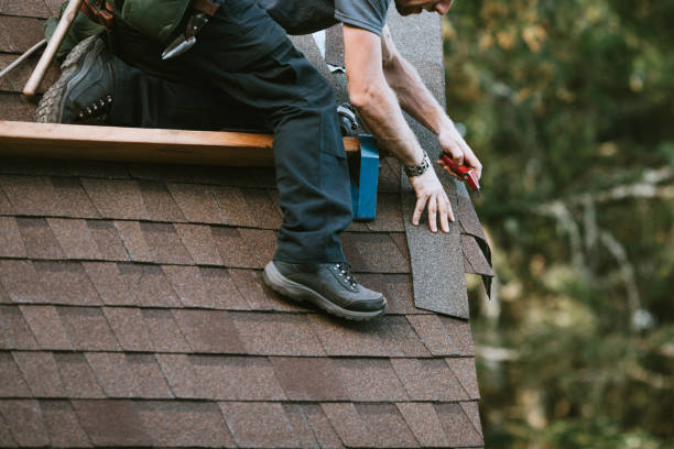 Best Roof Leak Repair  in Pahoa, HI