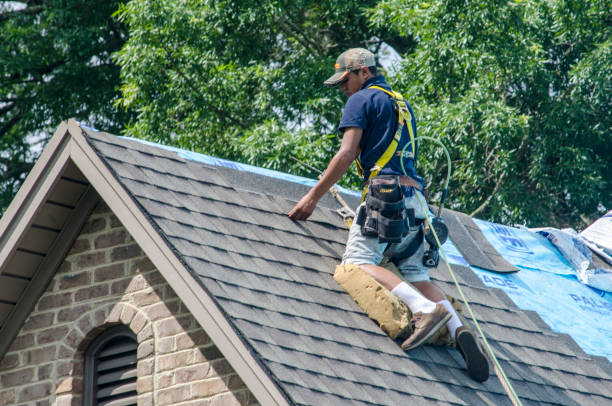 Best Commercial Roofing Services  in Pahoa, HI